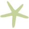 sea-star-icon